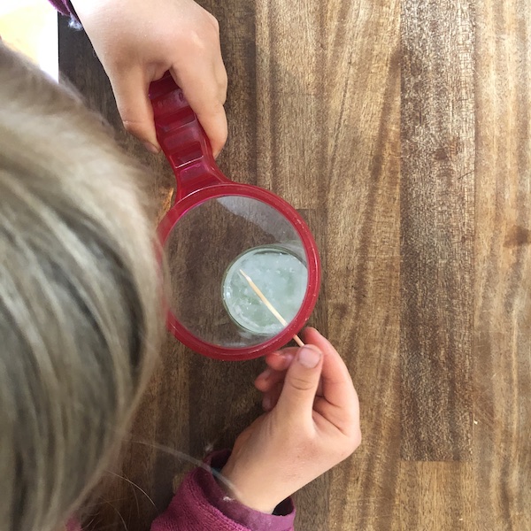 A child fishing out extracted DNA with a toothpick and examining it with a magnifying glass