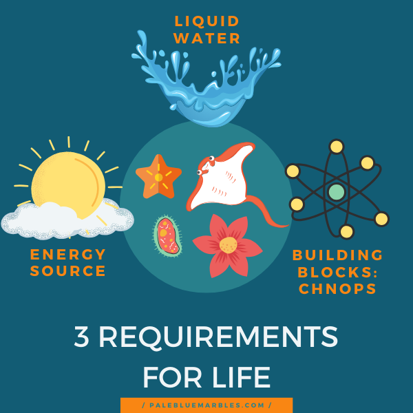 The requirements for life